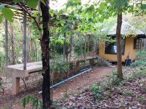 IMG_20170410_165502 - Copy